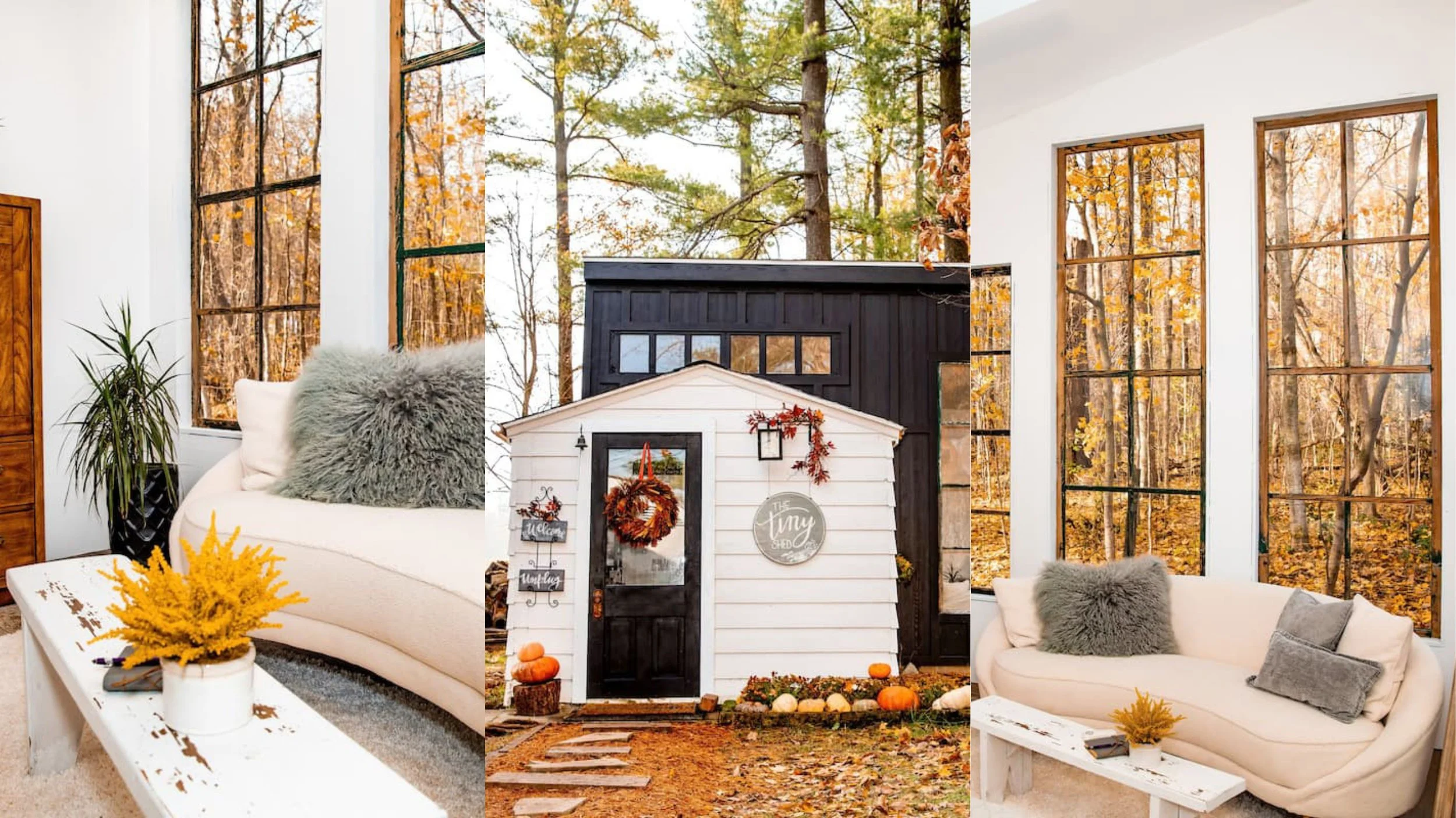  Photos from AirBnB 